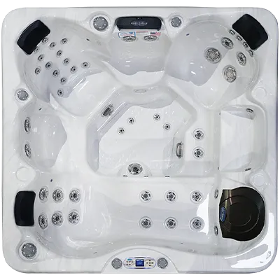 Avalon EC-849L hot tubs for sale in Hialeah
