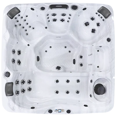 Avalon EC-867L hot tubs for sale in Hialeah